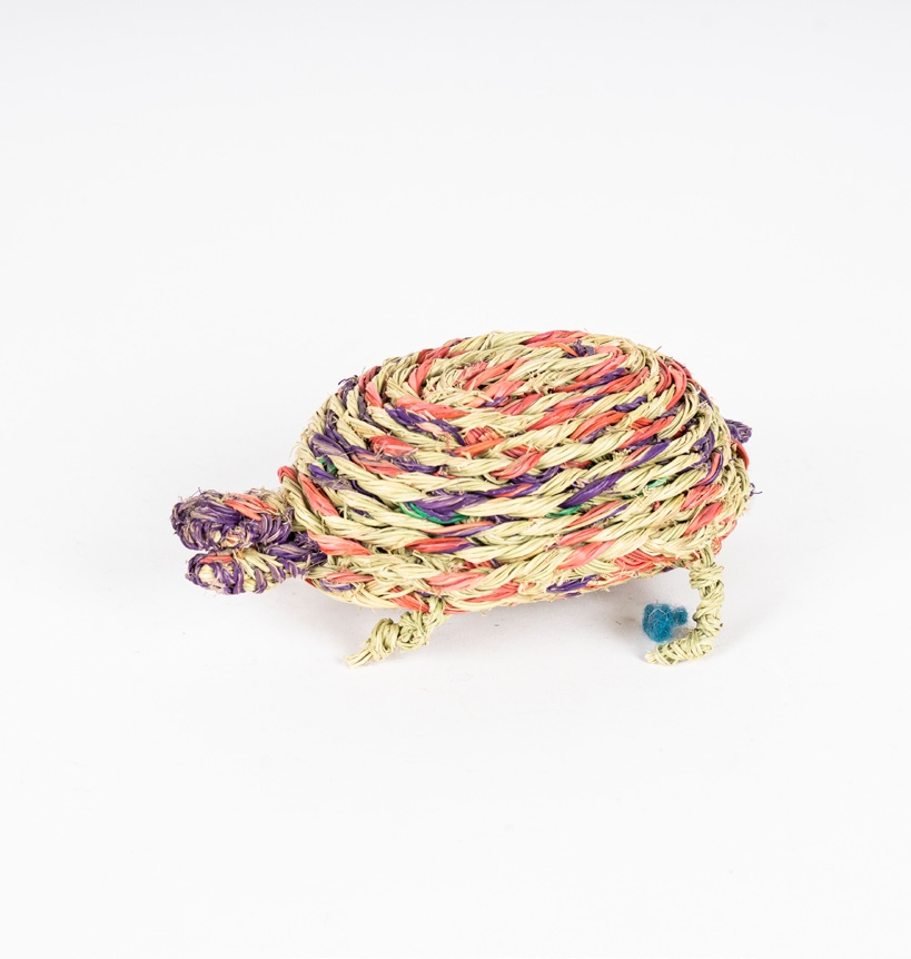 tortue en alfa